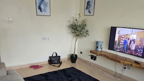 Una sala de estar con un tapete negro grande, dos sofás beige, una planta en maceta, un televisor y cuadros en la pared.