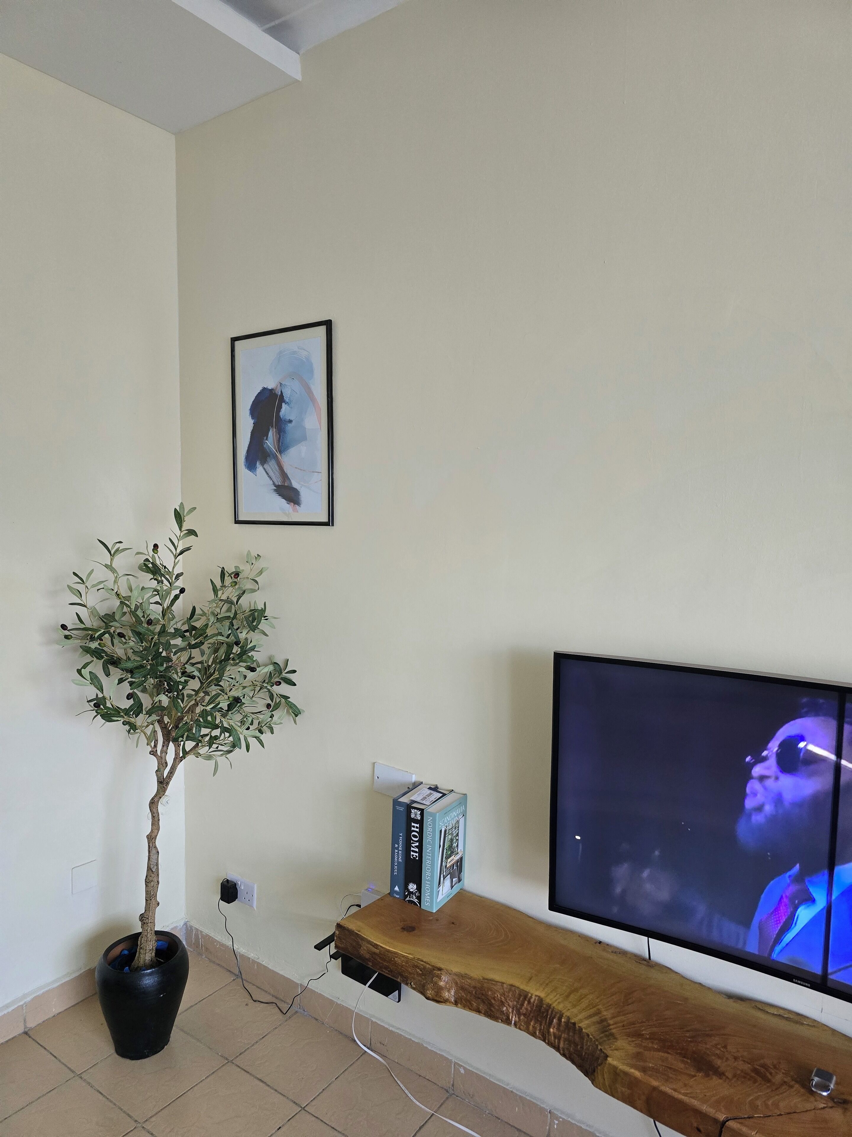 Un salon comprenant un téléviseur, un tableau abstrait encadré, une plante en pot et une étagère en bois remplie de livres.
