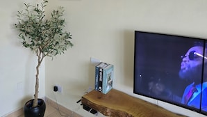 Una sala de estar con televisión, un cuadro abstracto enmarco, una planta en maceta y una estantería de madera con libros.