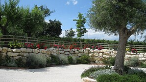 Un muro de piedra con una cerca de madera, rodeado de diversas plantas y árboles.