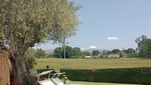 Un espacio al aire libre con césped, dos sillones blancos y una mesa, un árbol, y vista a un paisaje distante.