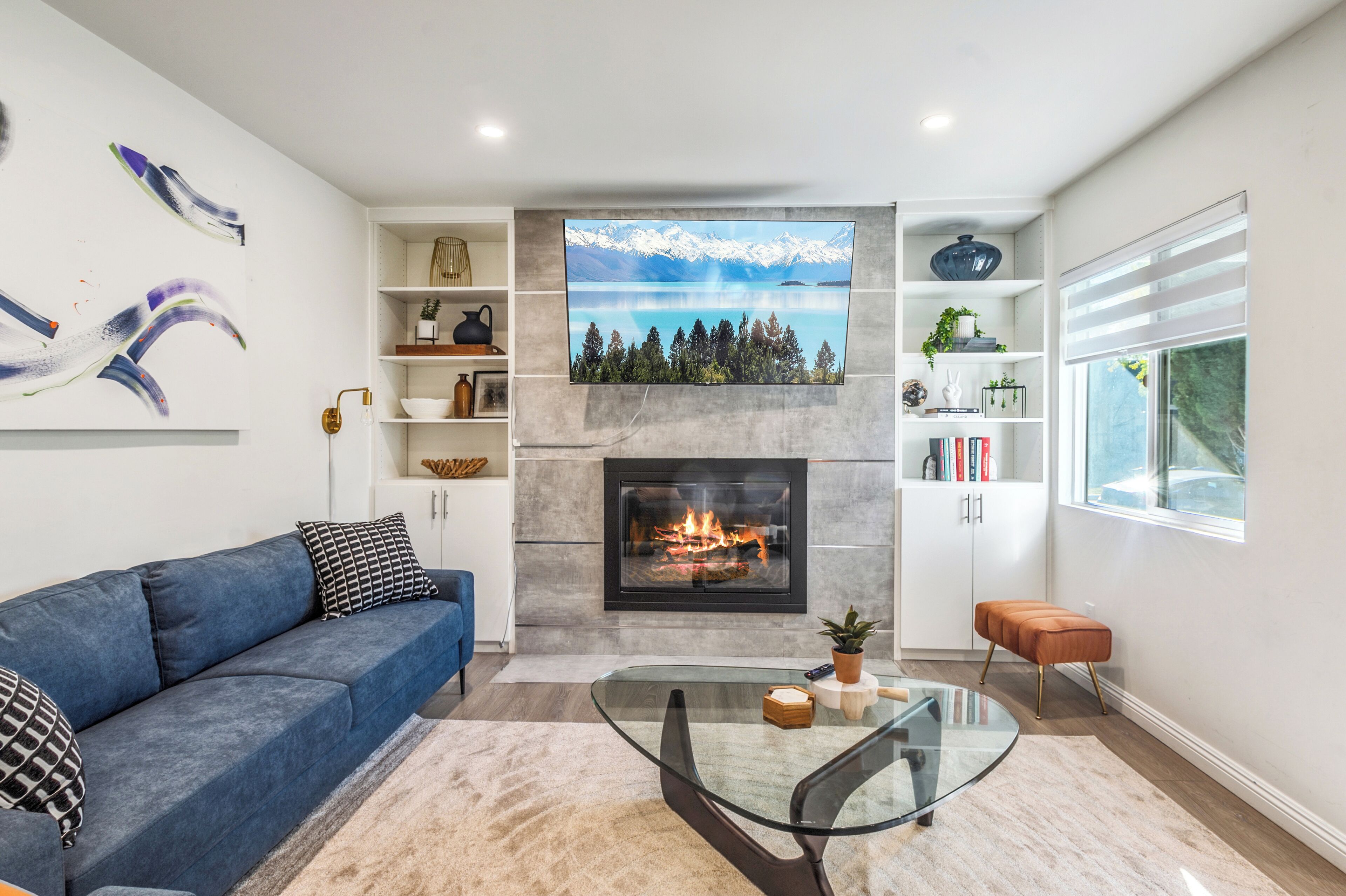 Smart TV, fireplace, books, music library