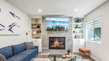Smart TV, fireplace, books, music library