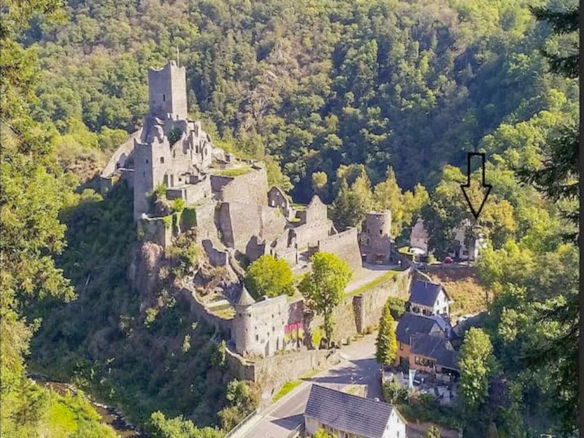 A medieval castle surrounded by dense forest, featuring multiple towers and a fortified wall.