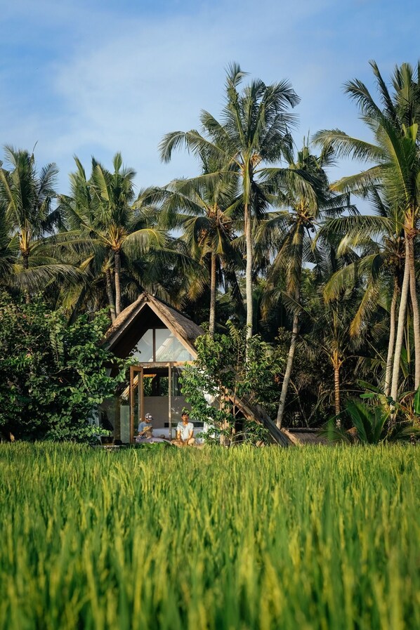 A rustic wooden structure with a sloped roof, surrounded by lush green grass and tall palm trees. - Awan Ubud (Ubud)