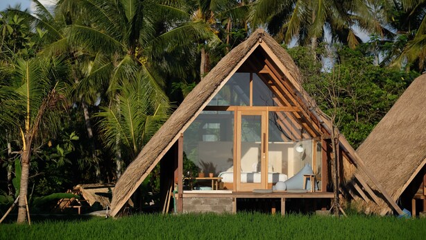 Ein reetgedecktes Bungalow mit Glastür, umgeben von Palmen und Gras.