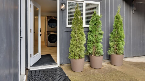 Un edificio grigio con una porta aperta che mostra una lavanderia con lavatrice e asciugatrice. Davanti alla porta ci sono tre alberi sempreverdi in vaso.