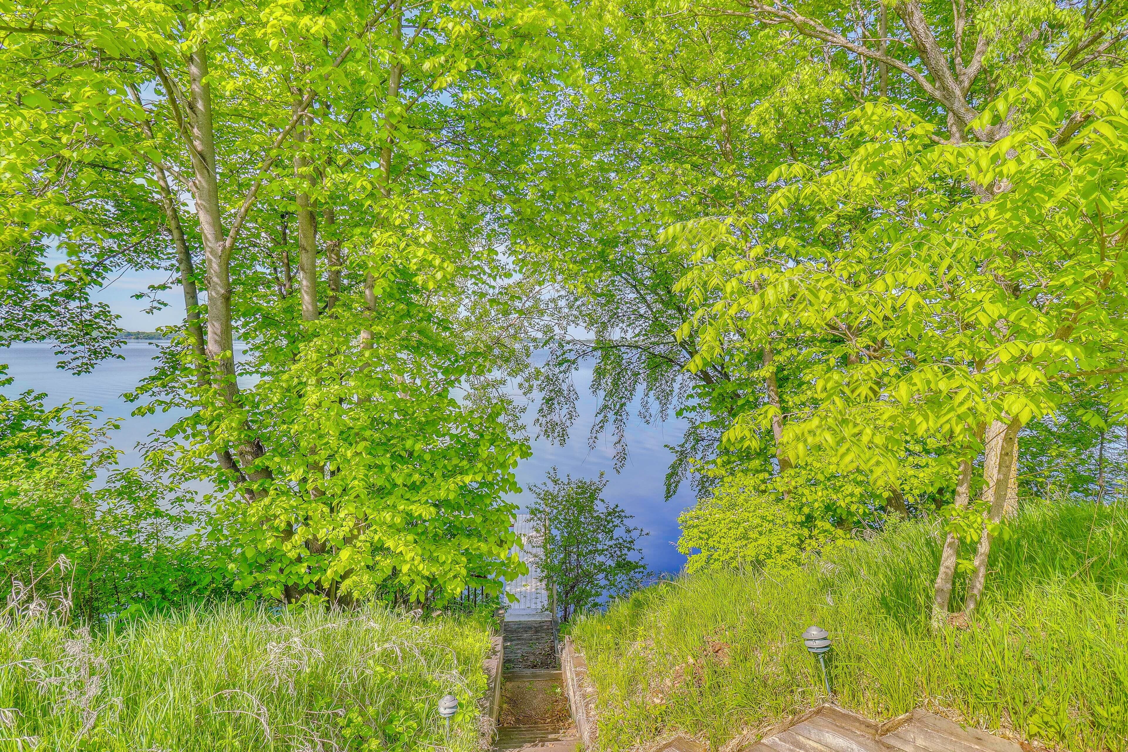 A pathway leading to a body of water, surrounded by lush greenery and trees.