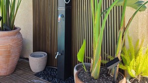 Un área de ducha exterior moderna con un fondo de panel de madera vertical, rodeada de plantas en macetas.