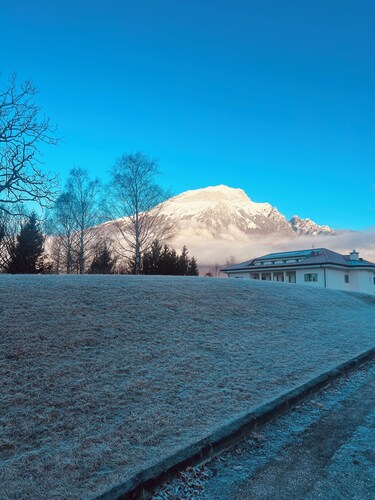 COURT OF SAINTS Cortina 2026