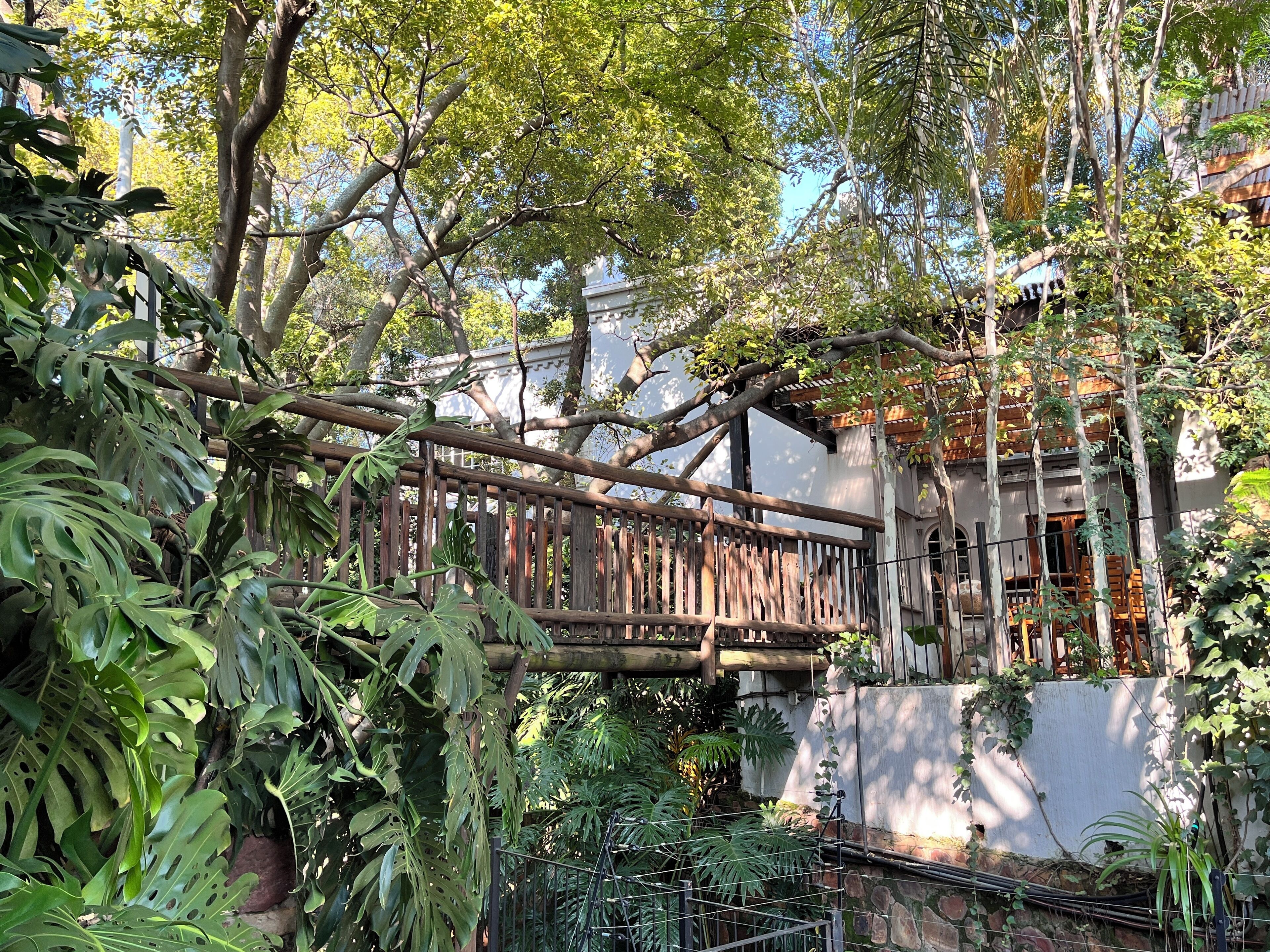 A wooden bridge over a stone wall, surrounded by lush greenery and trees.