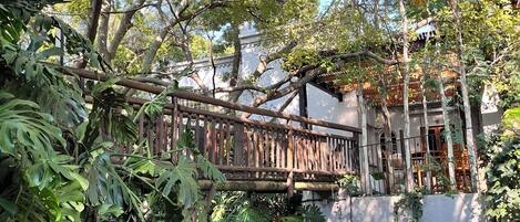 A wooden bridge over a stone wall, surrounded by lush greenery and trees.