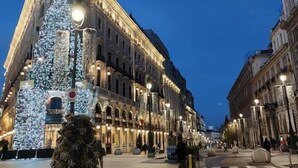 Ein historisches Gebäude mit klassischer Architektur, einer großen Weihnachtstanne und einem Glockenturm.