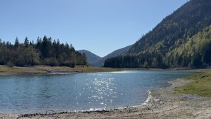 Ein See mit freier Sicht auf den umliegenden Wald und die Berge.