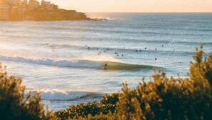 A coastal scene with waves, a surfer, and buildings in the background. - Bondi Beachside Escape - Surf & Vibe (Bondi Beach)
