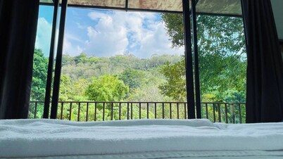 Fill your heart with nature at House of Lee#1