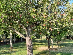 Miscellaneous - Pension Paradise Slowakia (Pastovce)