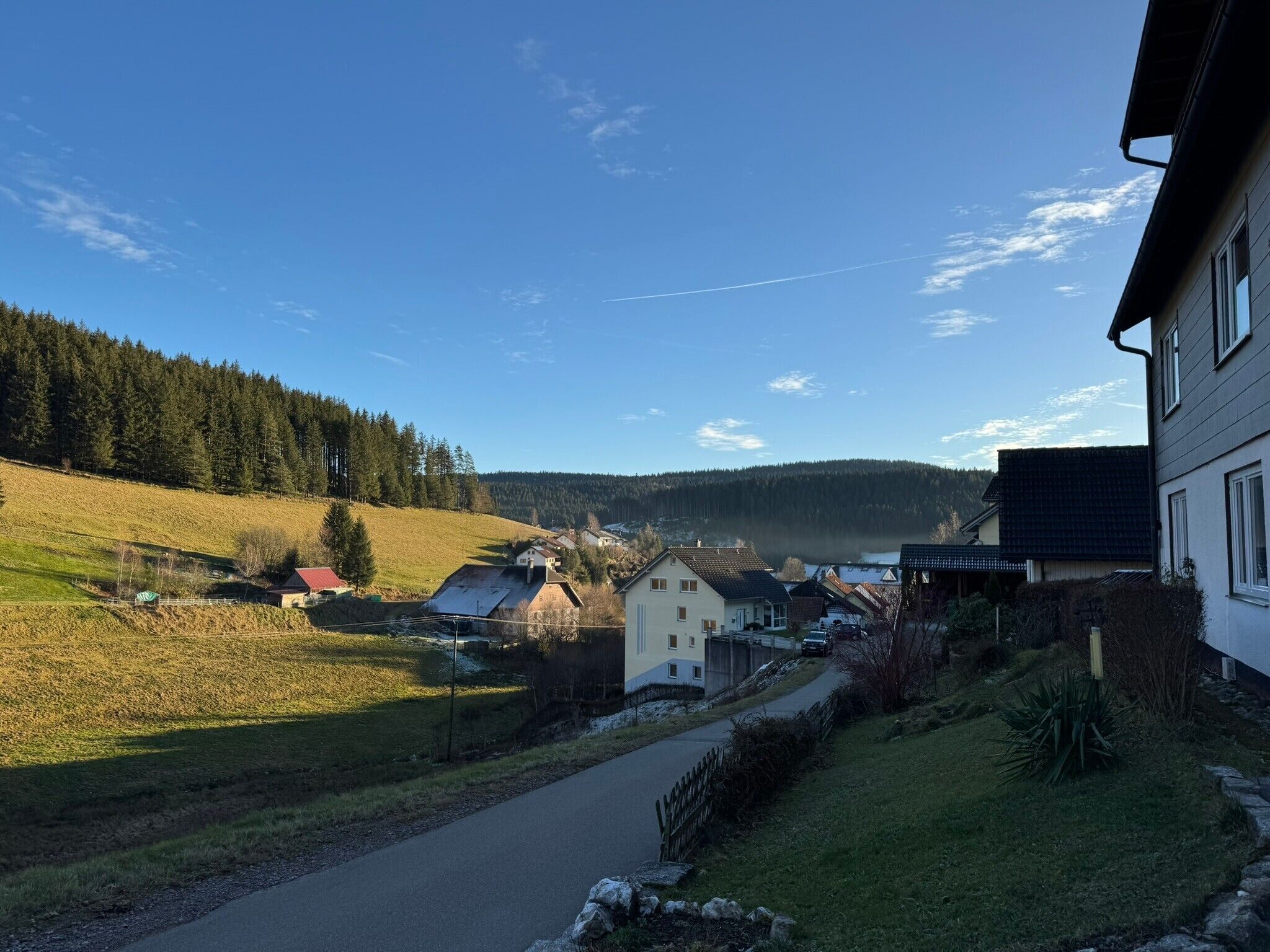 A rural village with houses, a road, and a forested hill in the background.