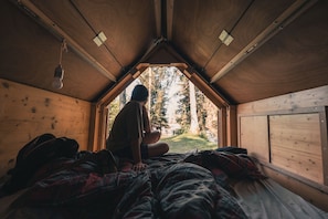 Interior - StarsBOX in the Trentino forest (Trentino-Alto Adige)
