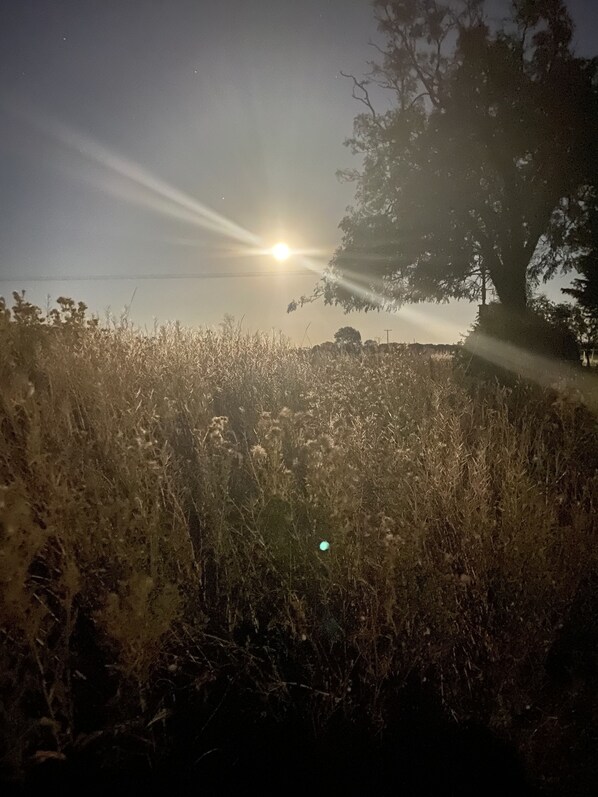 A field with a tree and the sun setting in the background. - Wellbet Farm accommodation (Swinderby)