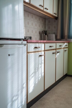 Kühlschrank, Mikrowelle, Herdplatte, Geschirrspüler