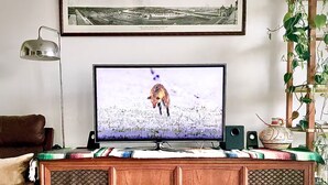Ein Fernseher auf einer Holzkommode, darüber ein Bilderrahmen.