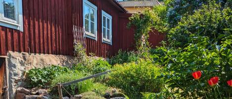 ハウス | 施設の敷地