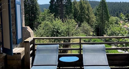 Chalet bois tout équipé pour 8 personnes avec sauna dans station de ski nordique