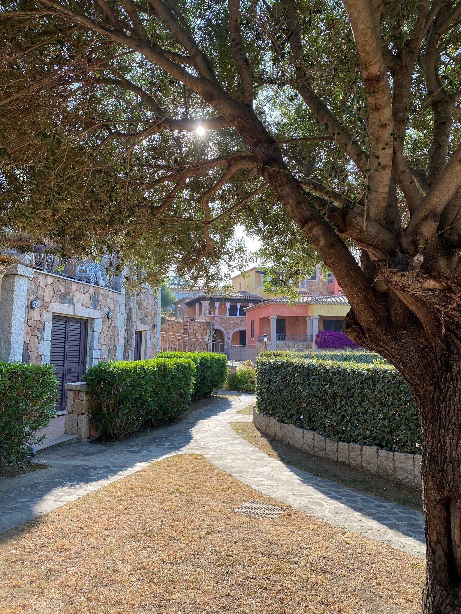 Áreas de la propiedad