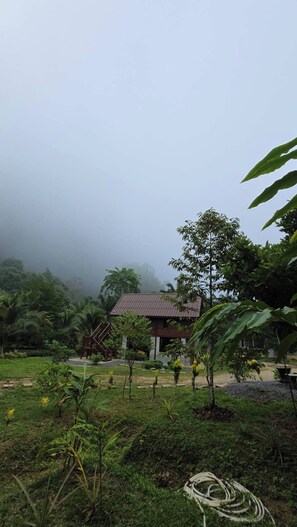 Casa, 1 habitación, con acceso para personas discapacitadas, para fumadores | Áreas de la propiedad