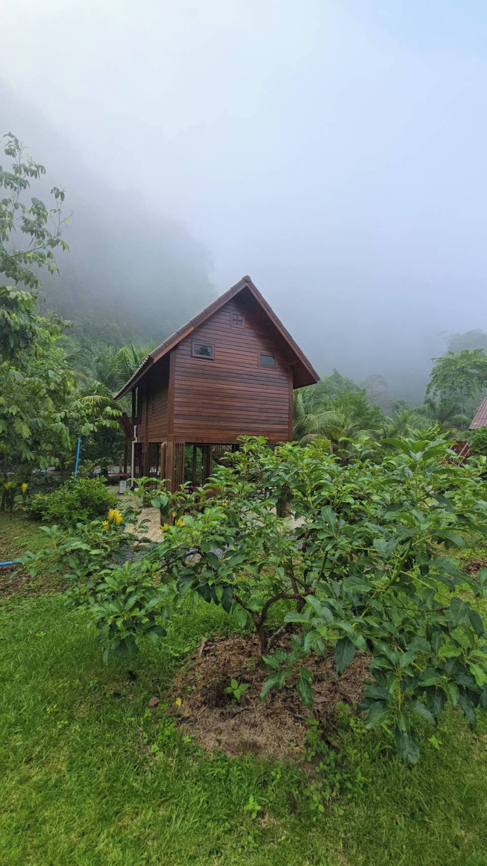 House, 1 Bedroom, Accessible, Smoking | Property grounds