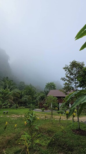 House, 1 Bedroom, Accessible, Smoking | Property grounds