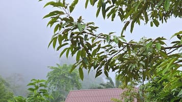 Hus - 1 sovrum - tillgänglighetsanpassat - rökare | Boendeområde