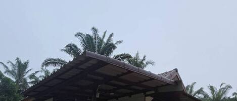 House, 1 Bedroom, Accessible, Smoking | Exterior