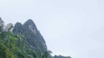 House, 1 Bedroom, Accessible, Smoking | Property grounds