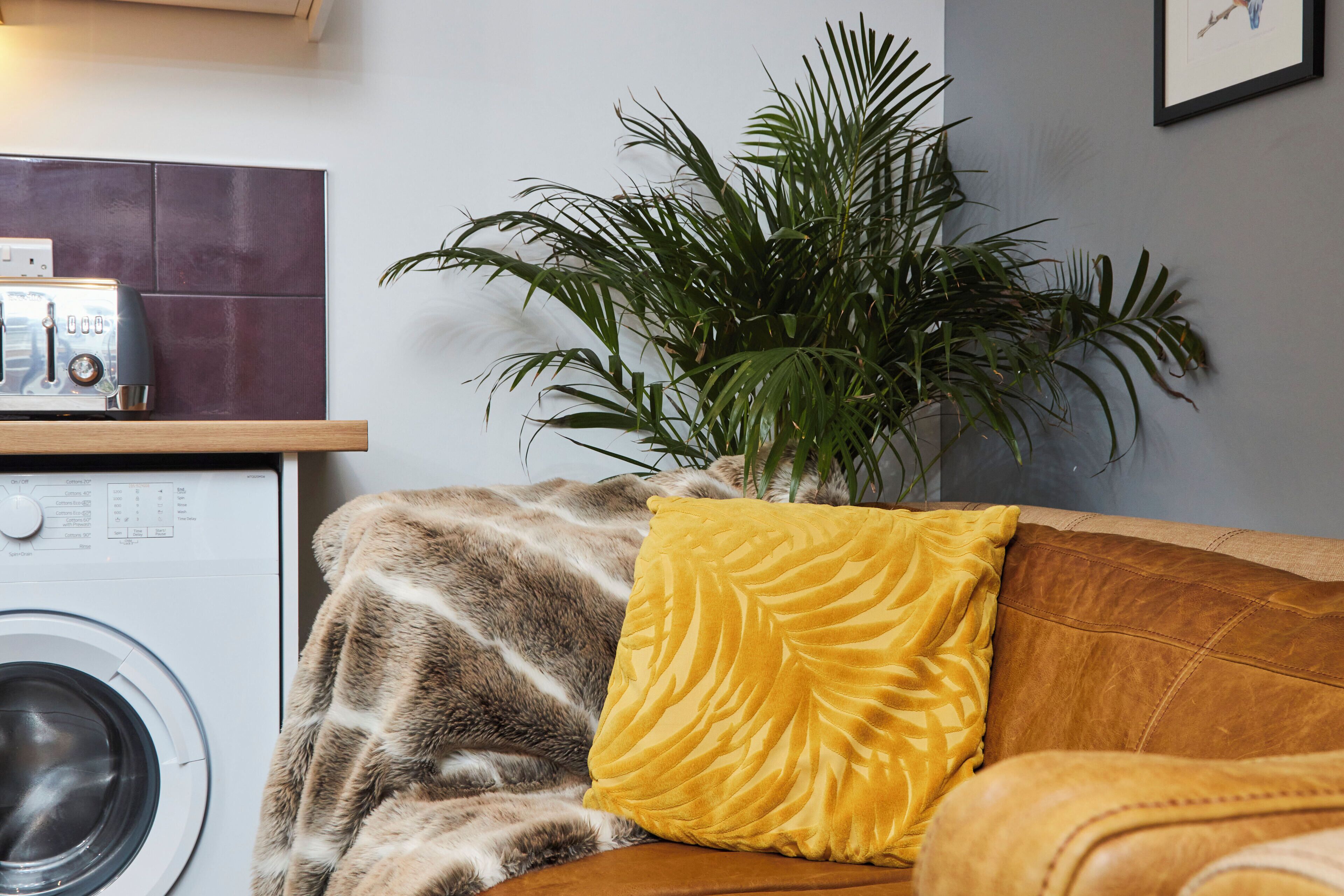 A living area with a washing machine, a sofa with a yellow pillow, and a large plant.