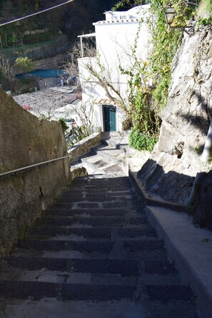 Property grounds - La Fiorita: an oasis of peace suspended between the sky and the sea of Positano (Positano)