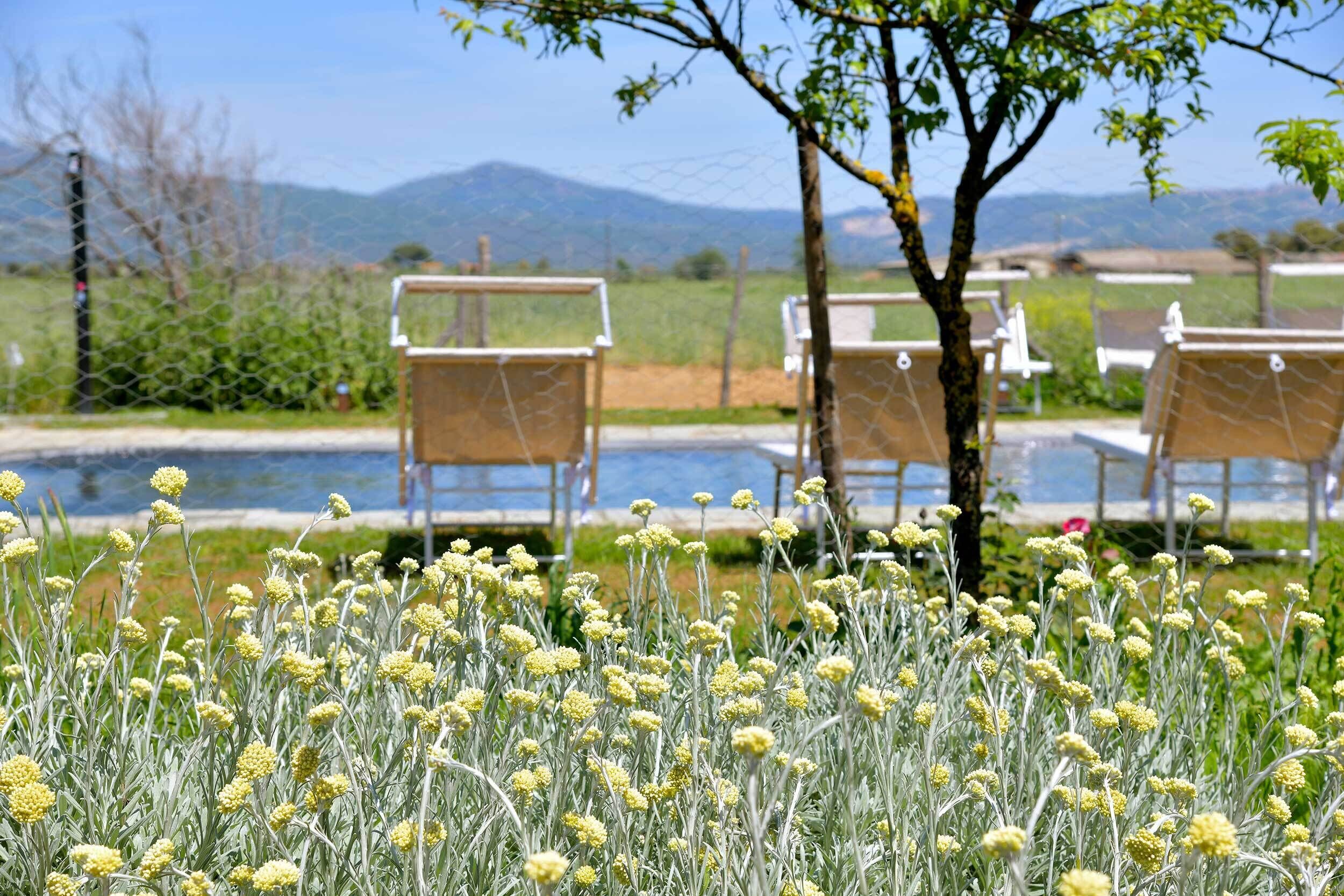 Seasonal outdoor pool, pool umbrellas, pool loungers