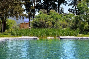 Seasonal outdoor pool, pool umbrellas, sun loungers - Villa Casale Enrica con Piscina Bio Lago (Roccastrada)