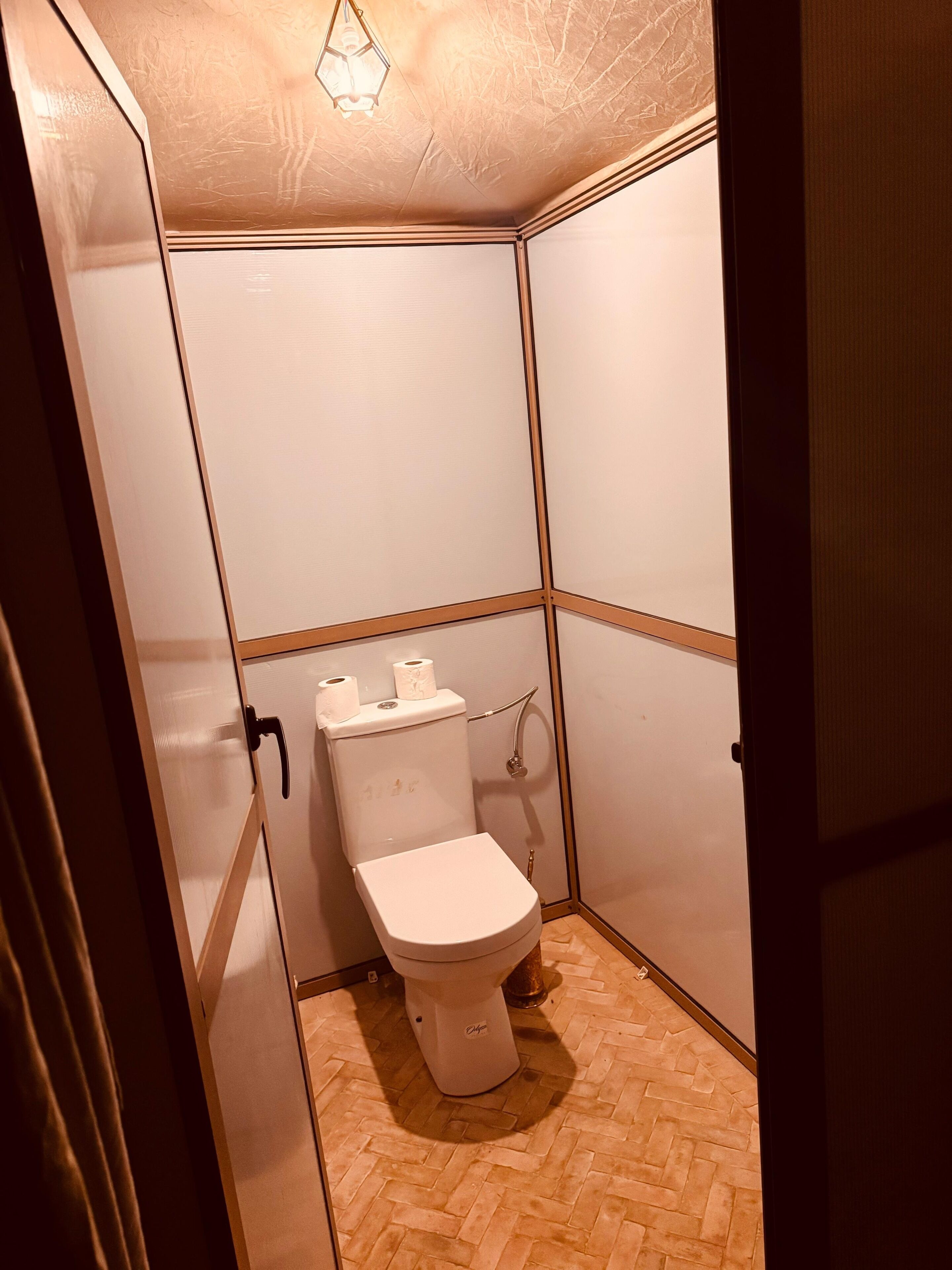 A small, enclosed bathroom with a toilet, a towel rack, and a showerhead.