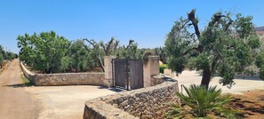 Ein mit Steinmauern gepflasterter Weg führt zu einem verschlossenen Eingang, umgeben von Olivenbäumen und einer Palmenpflanze.