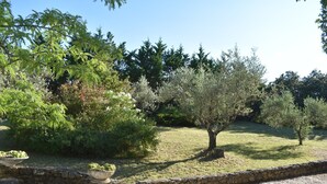 Un jardín con varios árboles y un muro de piedra.