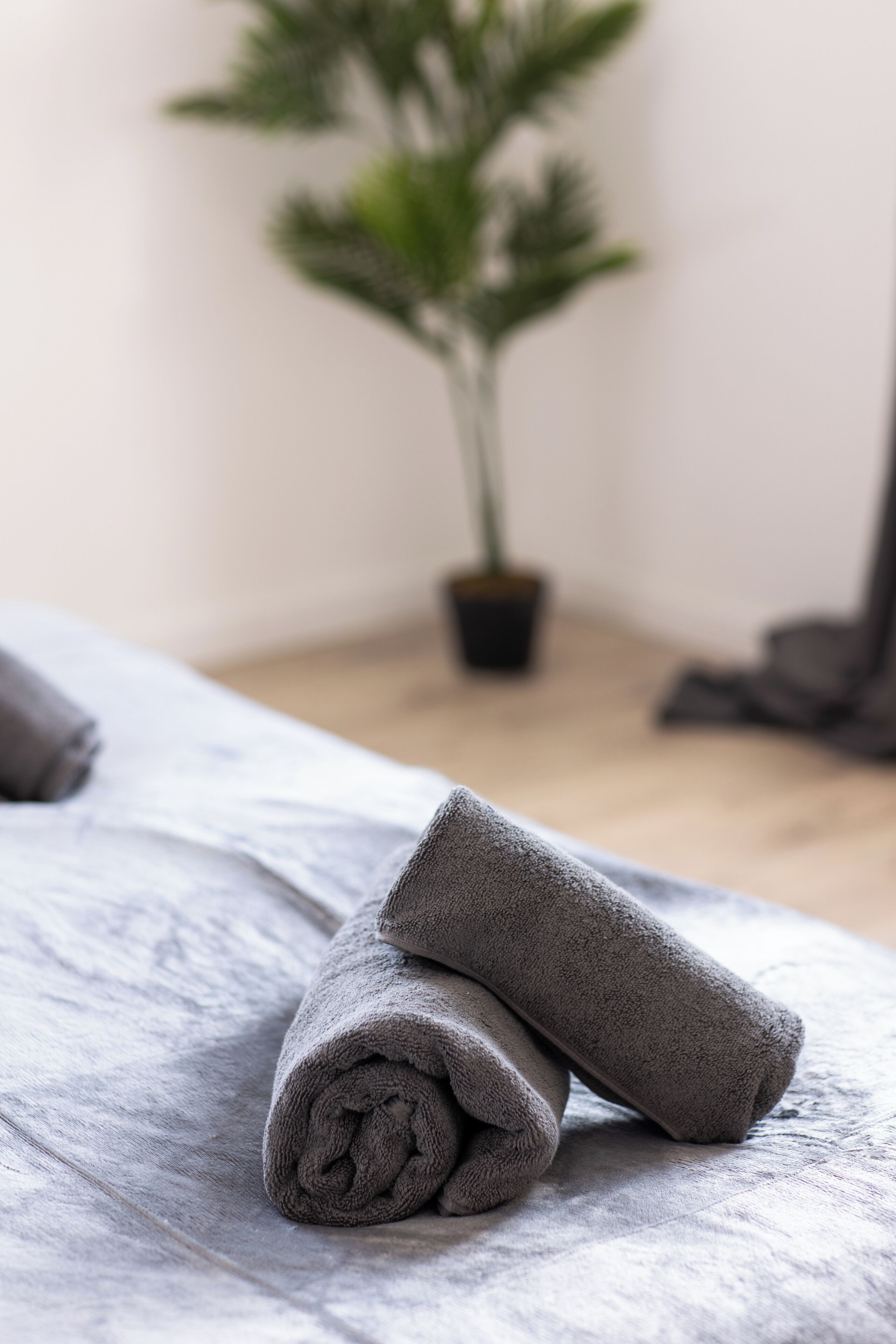 A neatly made bed with a rolled gray towel and a potted plant in the background.