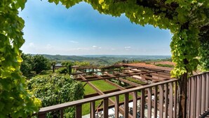 Un vignoble doté d’une structure en pergola en bois, d’une végétation luxuriante et offrant une vue lointaine sur des collines ondoyantes.