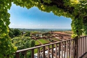 Apartamento conforto, vista para o vinhedo | Terraço/pátio
