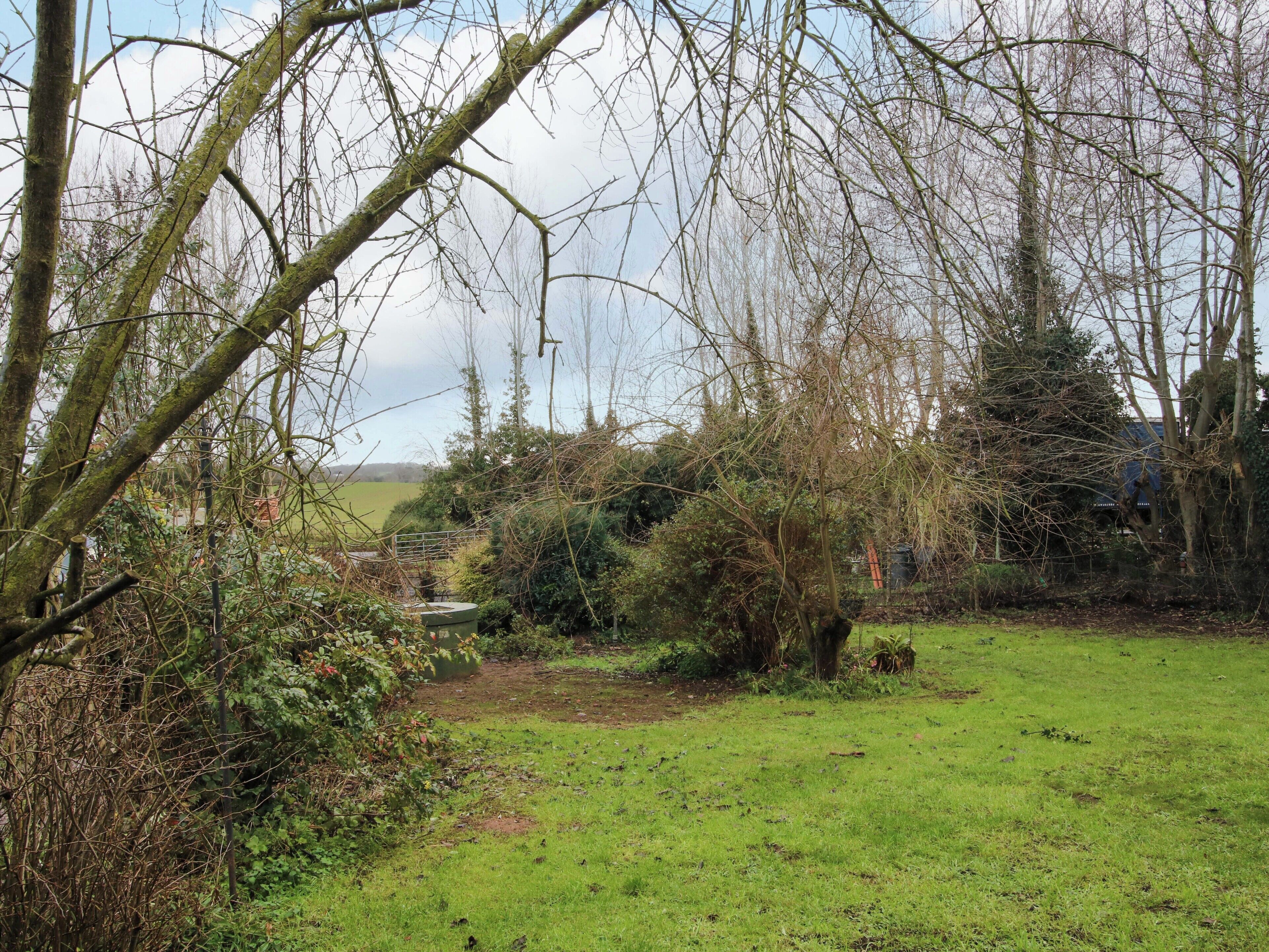 A rural landscape with a grassy field, dense shrubbery, and leafless trees.