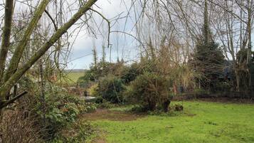 A rural landscape with a grassy field, dense shrubbery, and leafless trees.