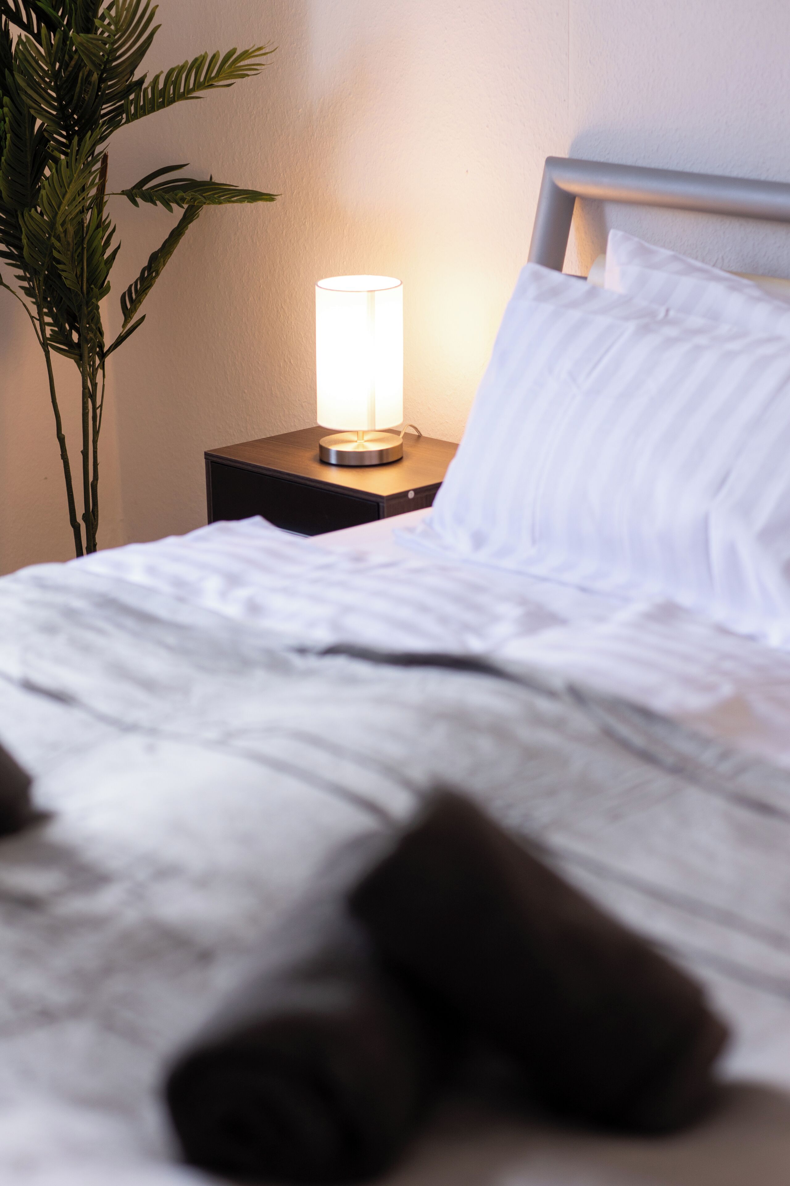 1 Schlafzimmer, WLAN, Bettwäsche