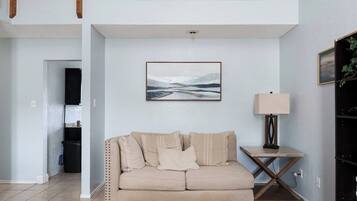 Smart TV, fireplace, books