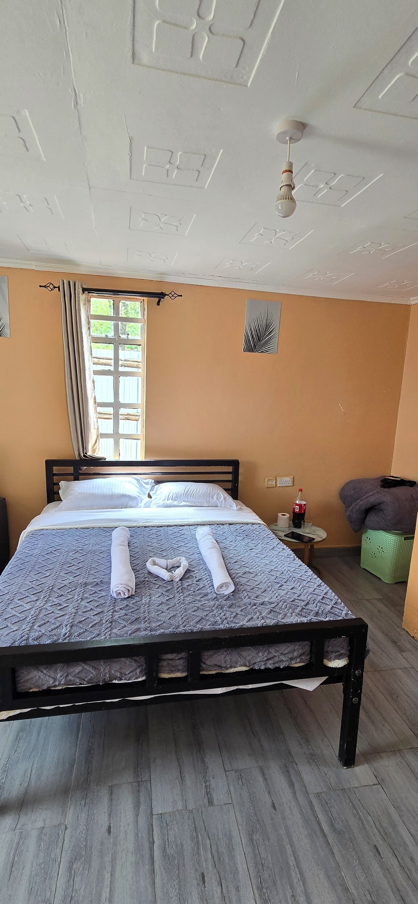 開放式套房, 山景 | 筆電工作空間、遮光布/窗簾、熨斗/熨衣板、免費無線上網